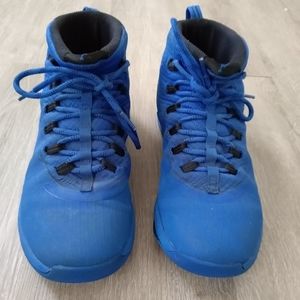 Blue Jordan shoes (On Hold)